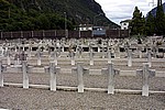 060.JPG
